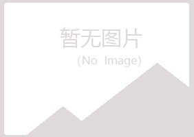 历城区夏青工程有限公司